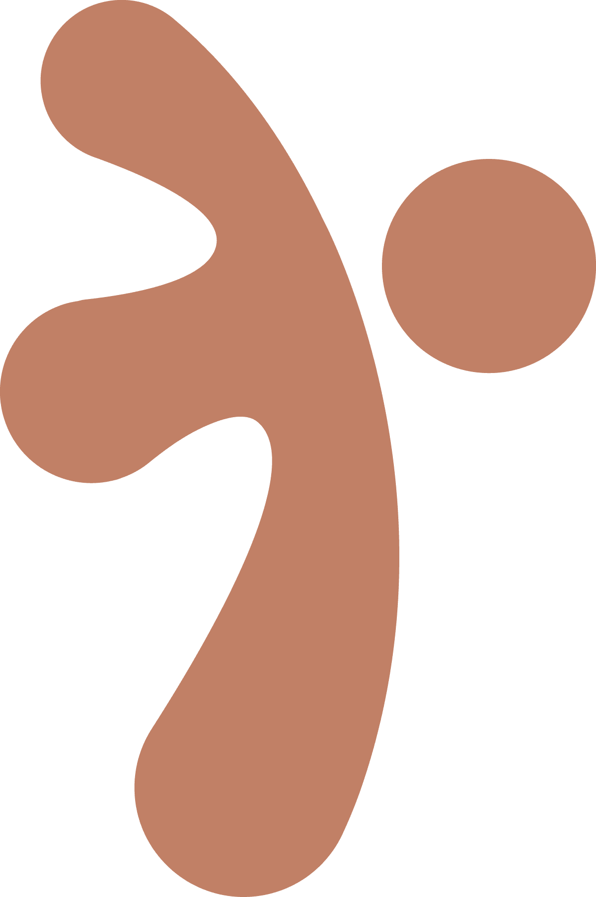 im logo